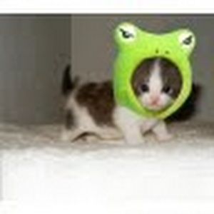 Meet your Posher, Rebekah